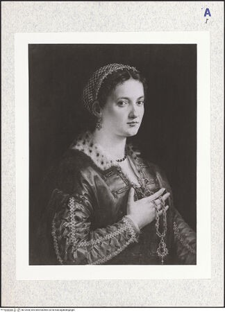 Vorderseite von bh313558_recto