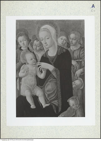 Vorderseite von bh313562_recto