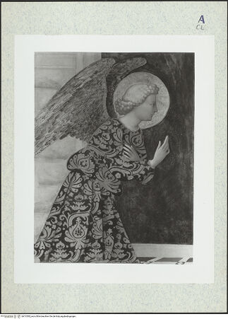 Vorderseite von bh313582_recto