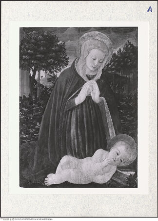 Vorderseite von bh313622_recto