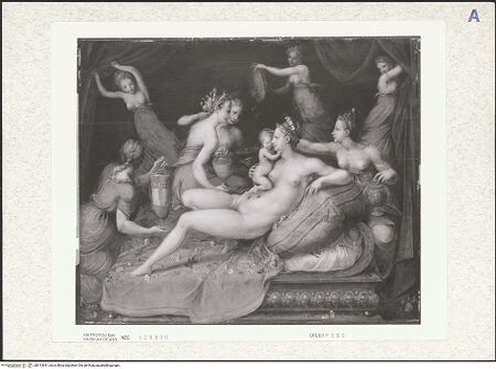 Vorderseite von bh313641_recto