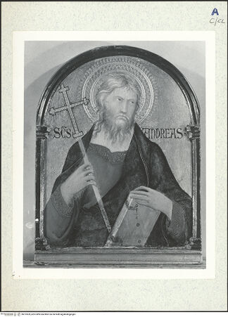 Vorderseite von bh313659_recto