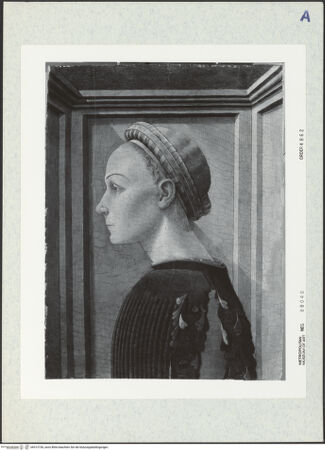 Vorderseite von bh313736_recto