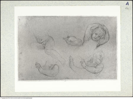 Vorderseite von bh313832_recto