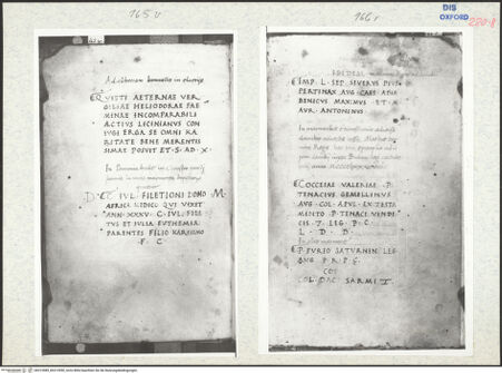 Vorderseite von bh313989_bh313990_recto