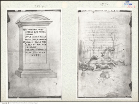 Vorderseite von bh314013_bh314014_recto