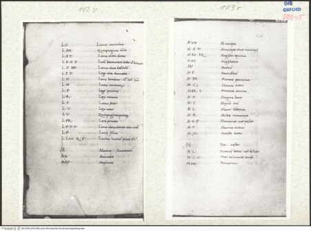 Vorderseite von bh314092_bh314093_recto