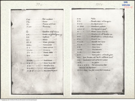 Vorderseite von bh314098_bh314099_recto