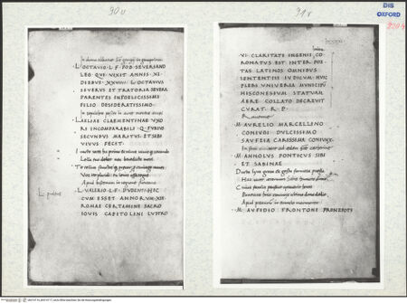 Vorderseite von bh314116_bh314117_recto