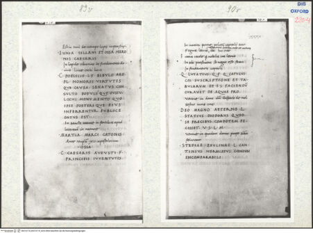 Vorderseite von bh314118_bh314119_recto