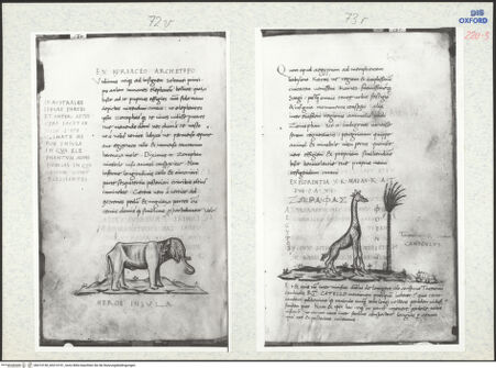 Vorderseite von bh314150_bh314151_recto