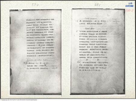 Vorderseite von bh314176_bh314177_recto