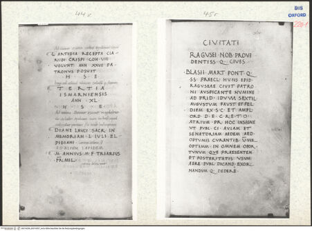 Vorderseite von bh314206_bh314207_recto