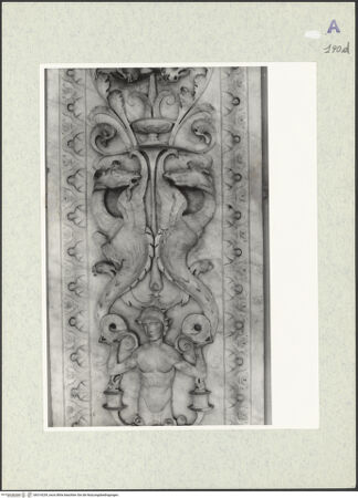 Vorderseite von bh314239_recto