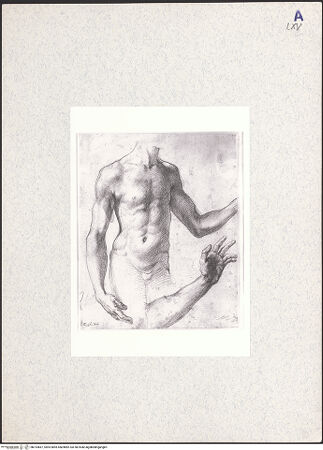 Vorderseite von bh314667_recto