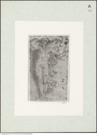 Vorderseite von bh314678_recto