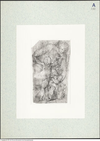 Vorderseite von bh314736_recto