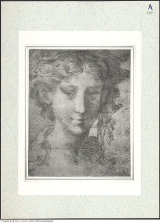 Vorderseite von bh314737_recto