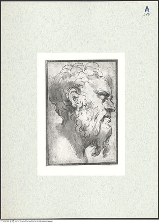 Vorderseite von bh314738_recto