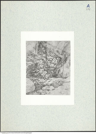 Vorderseite von bh314740_recto