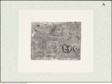 Vorderseite von bh315046_recto