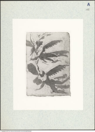 Vorderseite von bh315088_recto