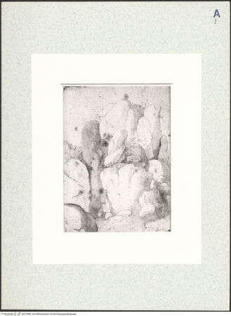 Vorderseite von bh315098_recto