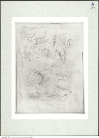 Vorderseite von bh315102_recto