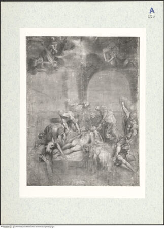 Vorderseite von bh315103_recto