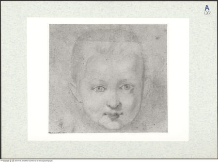 Vorderseite von bh315106_recto