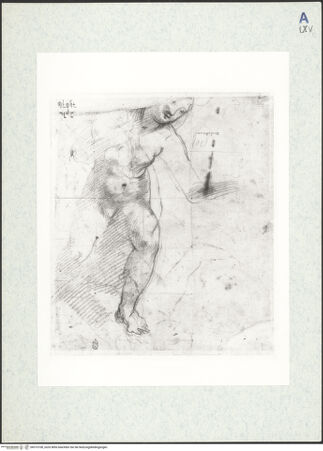 Vorderseite von bh315108_recto