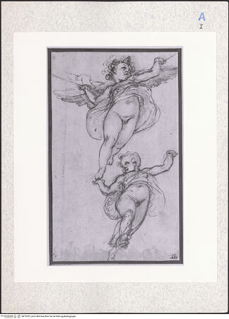 Vorderseite von bh315201_recto