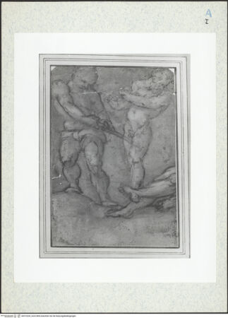 Vorderseite von bh315239_recto