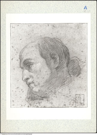 Vorderseite von bh315254_recto