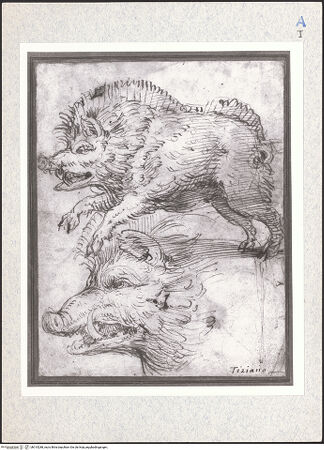 Vorderseite von bh315288_recto