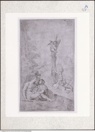 Vorderseite von bh315298_recto