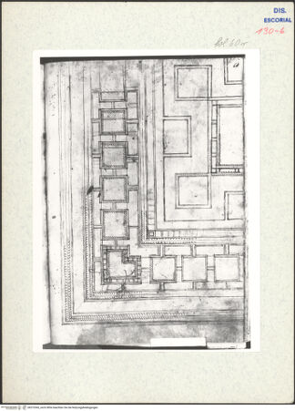 Vorderseite von Warburg Institute [https://www.deutsche-digitale-bibliothek.de/content/lizenzen/rv-ez/] Codex EscurialensisQuadrant einer Decke aus den Thermen des Titus - , bh315343_recto. Foto.