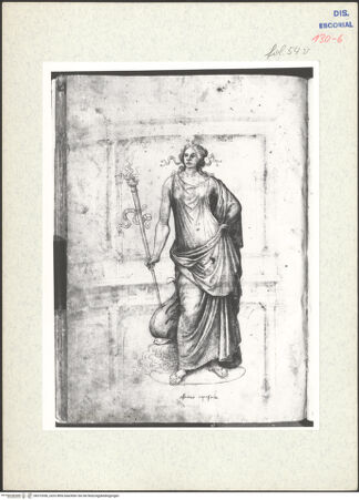 Vorderseite von Warburg Institute [https://www.deutsche-digitale-bibliothek.de/content/lizenzen/rv-ez/] Codex EscurialensisStatue einer jugendlichen Wassergöttin, die man zumeist als Aphrodite, bald als Amphitrite, Thetis, Amymone oder Nymphe bezeichnete - , bh315356_recto. Foto.