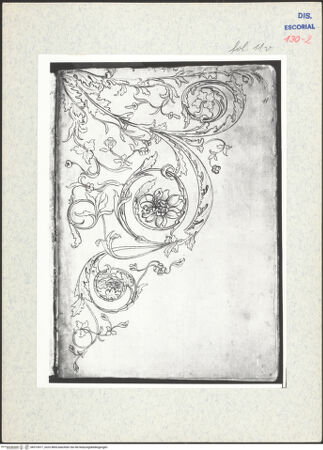 Vorderseite von Warburg Institute [https://www.deutsche-digitale-bibliothek.de/content/lizenzen/rv-ez/] Codex EscurialensisRankenornament von der vatikanischen Biga - , bh315417_recto. Foto.