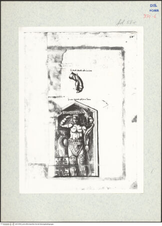 Vorderseite von bh315593_recto