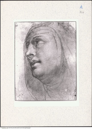 Vorderseite von bh315933_recto