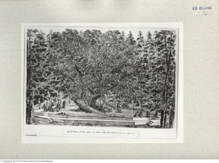 Vorderseite von Courtauld Institute [http://creativecommons.org/publicdomain/mark/1.0/] Sechs Ansichten der Villa PratolinoTafel (1): Der bewohnbare Baum - , bh315937. Foto.