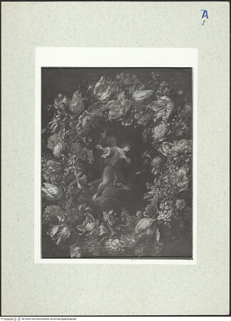 Vorderseite von bh315945_recto