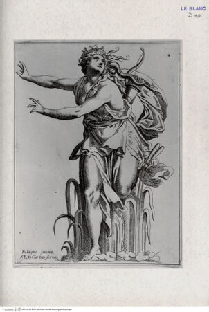 Vorderseite von Landesbildstelle Rheinland [http://creativecommons.org/publicdomain/mark/1.0/] Nymphe - , bh316240. Foto.