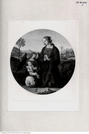 Vorderseite von Landesbildstelle Rheinland [http://creativecommons.org/publicdomain/mark/1.0/] Maria in Verehrung des Christkindes - , bh316348. Foto.
