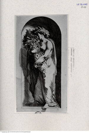 Vorderseite von Landesbildstelle Rheinland [http://creativecommons.org/publicdomain/mark/1.0/] Flora - , bh316465. Foto.