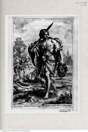 Vorderseite von  [http://creativecommons.org/publicdomain/mark/1.0/] David mit dem Haupte Goliaths - , bh316579. Foto.