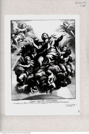 Vorderseite von  [http://creativecommons.org/publicdomain/mark/1.0/] Himmelfahrt Mariens - , bh316581. Foto.