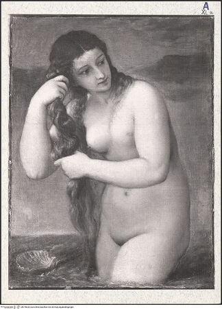 Vorderseite von bh316628_recto