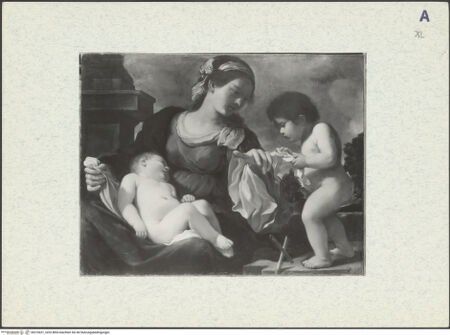 Vorderseite von bh316631_recto